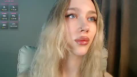 Snapshot of des_ch chatting on July 2026 04:17:01 PM Ari online show from July 2026 04:17:01 PM