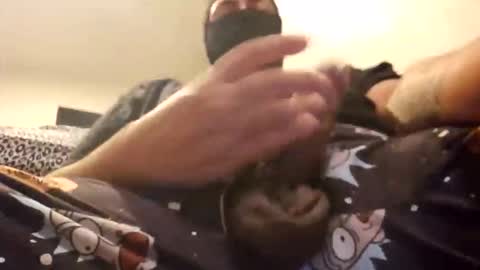 DesertLatinocock online show from October 2025 06:47:01 AM