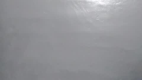 Snapshot of desturbingdetale699 chatting on January 2025 05:26:02 AM desturbingdetale699 online show from January 2025 05:26:02 AM