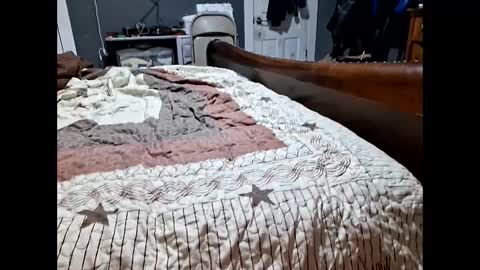 Snapshot of desturbingdetale699 chatting on September 2025 08:03:02 AM desturbingdetale699 online show from September 2025 08:03:02 AM