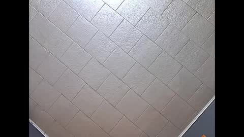 Snapshot of desturbingdetale699 chatting on September 2025 07:53:01 AM desturbingdetale699 online show from September 2025 07:53:01 AM