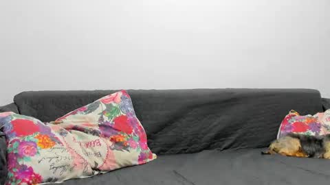 Snapshot of devinesex chatting on February 2025 07:07:02 AM Misha online show from February 2025 07:07:02 AM