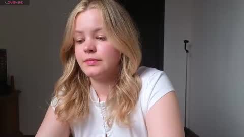 Snapshot of dianaholiday chatting on June 2026 04:11:02 PM Olga online show from June 2026 04:11:02 PM