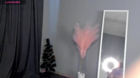 Dianne online show from January 2025 09:36:02 AM