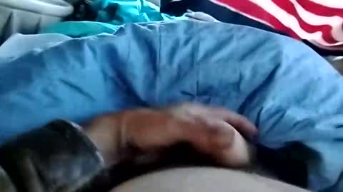 Dickbowen online show from November 2025 01:57:01 PM