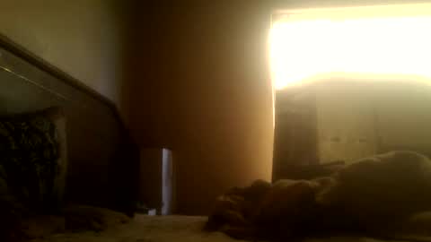 dickdaxxx online show from March 2025 08:16:01 AM