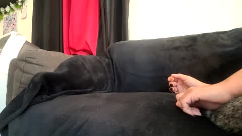 dickies6969 online show from September 2025 05:47:02 PM