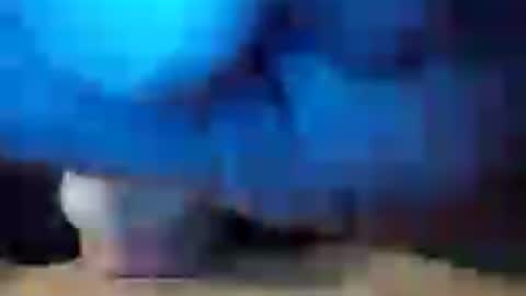 dicknobber online show from July 2026 10:57:02 AM