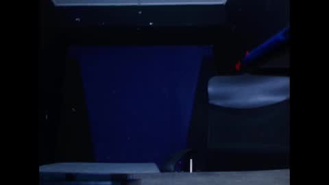 Diego online show from February 2025 11:30:02 AM