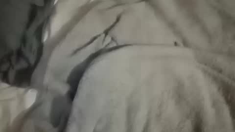 Daddy online show from October 2025 04:44:02 AM