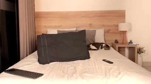 Dilarahkesh  online show from February 2025 07:15:01 AM