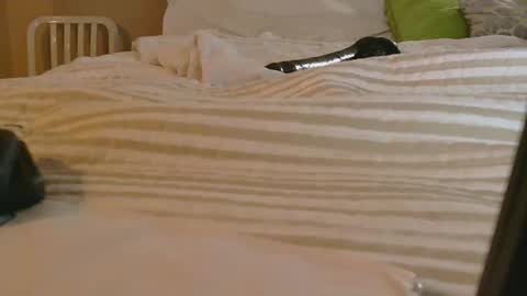 Snapshot of dildosnme22 chatting on February 2026 11:14:02 AM dildosnme22 online show from February 2026 11:14:02 AM