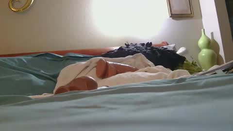 Snapshot of dildosnme22 chatting on February 2026 02:48:01 AM dildosnme22 online show from February 2026 02:48:01 AM