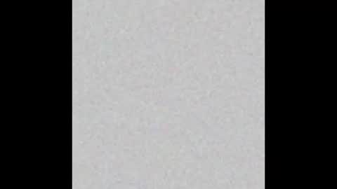 Dirk Diggler online show from December 2024 05:37:01 PM