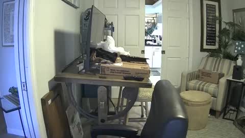 DirtkPitt Fun guy working online show from January 2025 07:17:02 PM