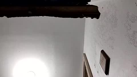 dixonbird41 online show from February 2025 03:54:02 PM