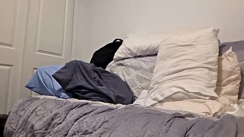 djaxxx_2020 online show from March 2026 03:12:01 AM