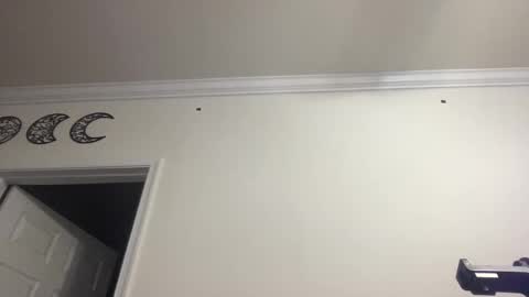 Snapshot of dlasian98 chatting on January 2025 11:39:01 PM DL Asian Sissy online show from January 2025 11:39:01 PM