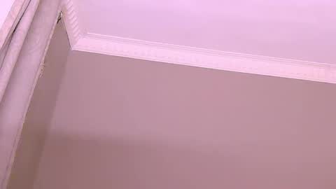 DMAN online show from December 2024 06:31:01 PM