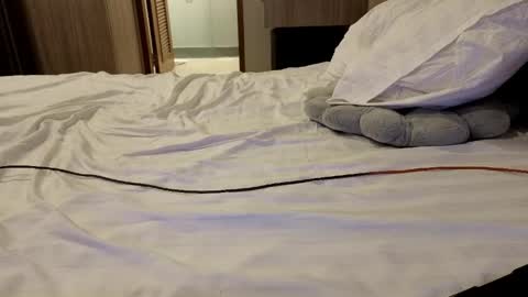 Alex online show from April 2026 11:14:02 AM