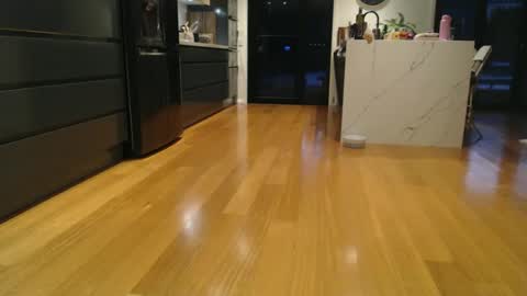 dominantblonde93 online show from April 2026 07:28:01 AM