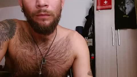 Logan - INDEPENDET MODEL online show from June 2026 10:53:02 AM