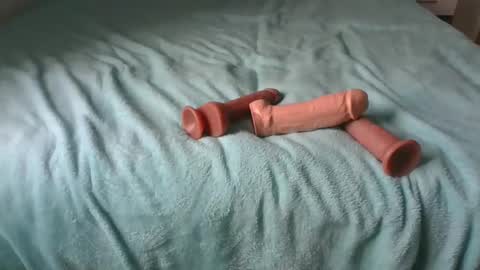 Alzest online show from November 2025 09:02:02 AM