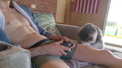 dommepleasemistress online show from February 2026 07:26:01 PM