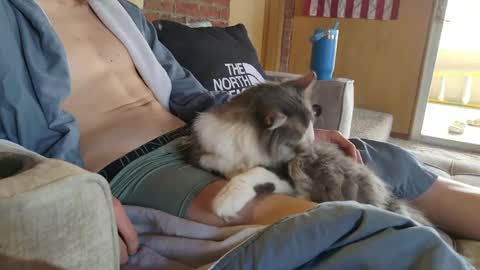 dommepleasemistress online show from March 2026 05:05:01 PM