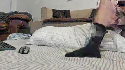 Rick online show from January 2025 09:17:01 PM