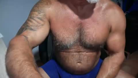 Snapshot of donk566 chatting on July 2026 12:29:01 PM donk566 online show from July 2026 12:29:01 PM