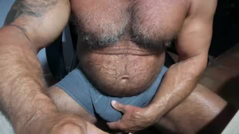 Snapshot of donk566 chatting on July 2026 11:41:02 AM donk566 online show from July 2026 11:41:02 AM