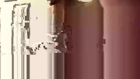 donnie206 online show from January 2026 06:17:02 AM