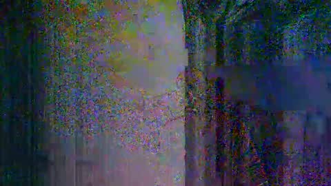 donosus online show from March 2026 03:23:01 AM