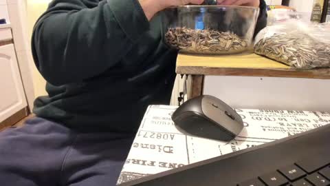 menu  below online show from January 2025 12:00:01 AM