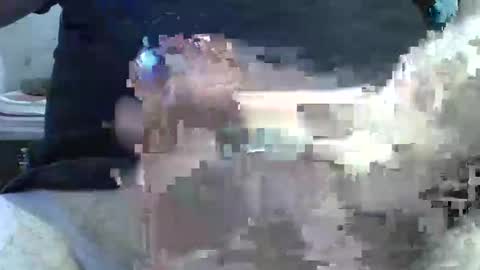 dosser8 online show from February 2026 02:31:01 PM