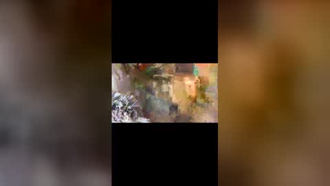 dpbbb online show from April 2026 05:04:02 AM