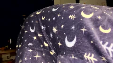 MrPirated online show from February 2025 12:08:02 AM