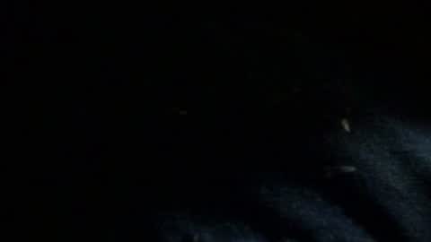 Snapshot of dreadedted chatting on November 2025 08:14:01 AM Dreadedted online show from November 2025 08:14:01 AM