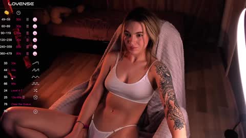 Snapshot of dreamaise chatting on December 2024 10:51:02 AM  Mary   pvt open    use pink and blue app lovense online show from December 2024 10:51:02 AM