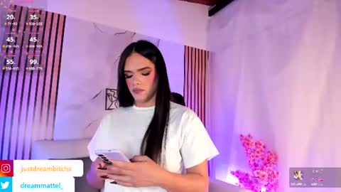 Snapshot of dreammatell_ chatting on June 2026 04:00:02 AM Dream Matell online show from June 2026 04:00:02 AM