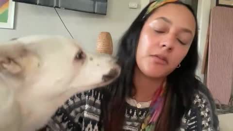 RIRI OR DREAMY online show from February 2026 10:48:02 PM