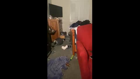 Drippy kitty  online show from December 2025 09:50:02 AM