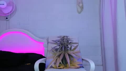 drippyorlove online show from November 2025 08:31:01 PM