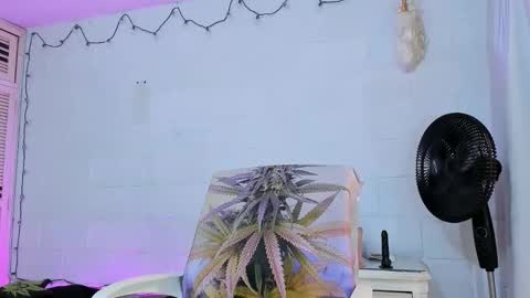 drippyorlove online show from April 2026 01:28:02 PM