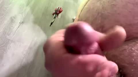 Snapshot of droppingloads82 chatting on December 2024 04:53:02 AM droppingloads82 online show from December 2024 04:53:02 AM