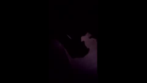 drush1973 online show from January 2026 11:58:02 AM