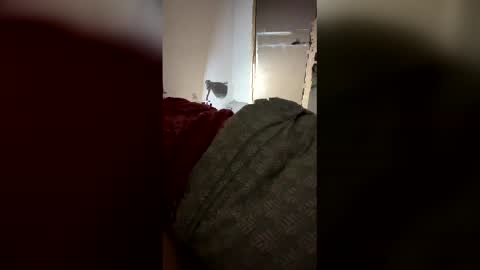 drzinedaj online show from March 2026 02:59:01 AM