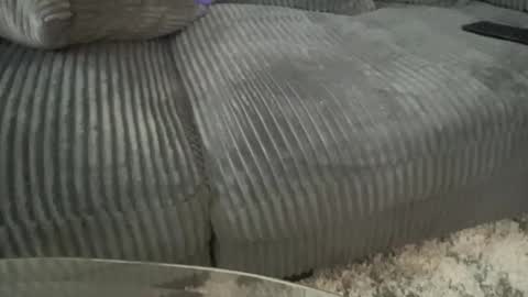 dtfandrecord online show from April 2026 02:20:01 AM