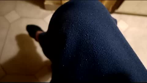 dthedog12 online show from February 2025 12:27:02 AM